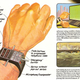 Image for article titled Time After Time: 70 Years of Broken Smartwatch Dreams
